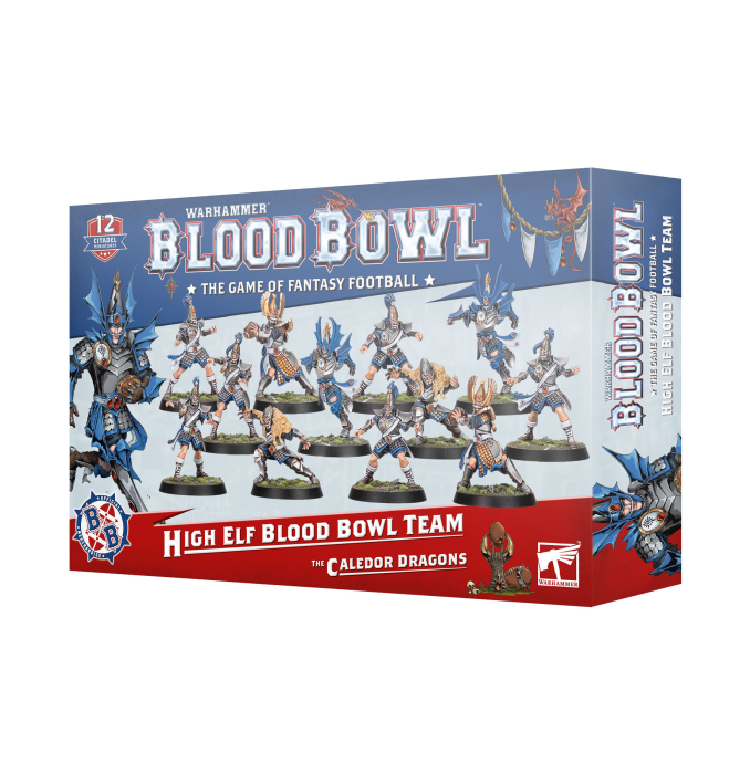 Warhammer - High Elf Blood Bowl Team: The Caledor Dragons